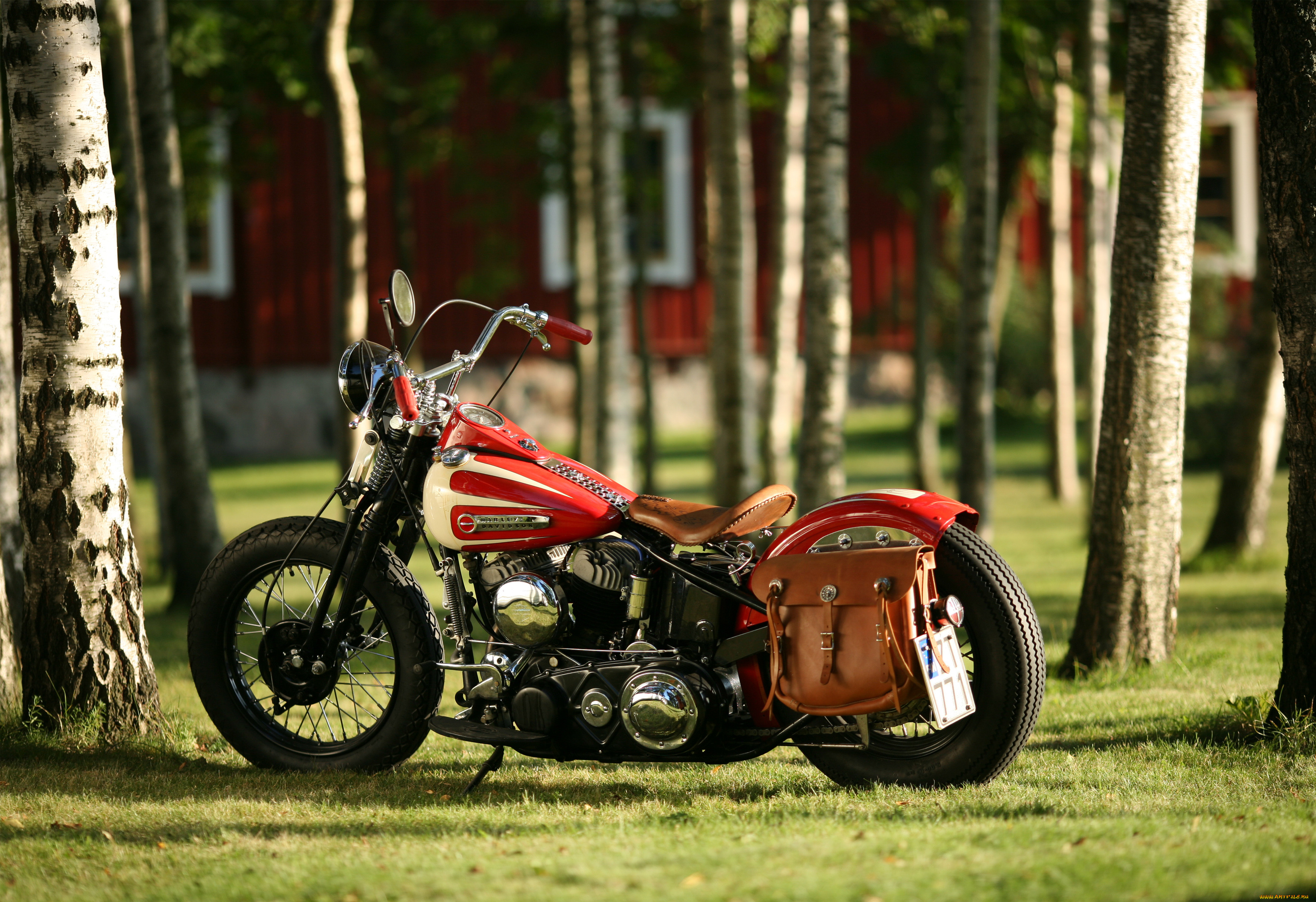 , harley-davidson, custom